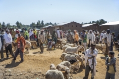 Ethiopie-239
