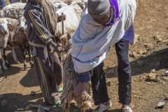 Ethiopie-241