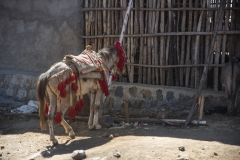 Ethiopie-243