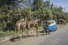 Ethiopie-245