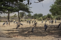 Ethiopie-261