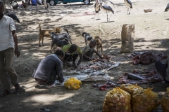 Ethiopie-262