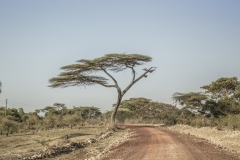 Ethiopie-264