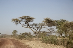 Ethiopie-265