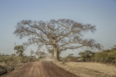 Ethiopie-266