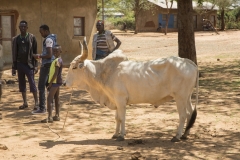 Ethiopie-297