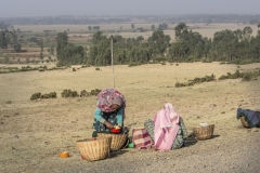 Ethiopie-339