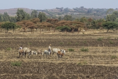 Ethiopie-390