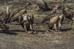 Ethiopie-391