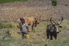 Ethiopie-399