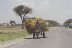 Ethiopie-401