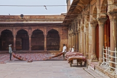 Rajasthan-13