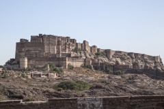 Rajasthan-317