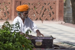 Rajasthan-324
