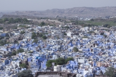 Rajasthan-349