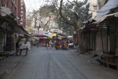 Rajasthan-467