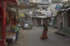 Rajasthan-474